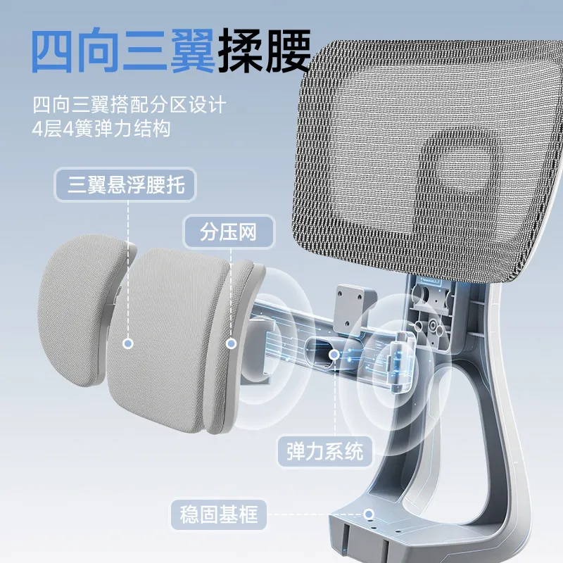 Ergonomic Office Chair with Lu - огляд і ціна Home Office Desk
