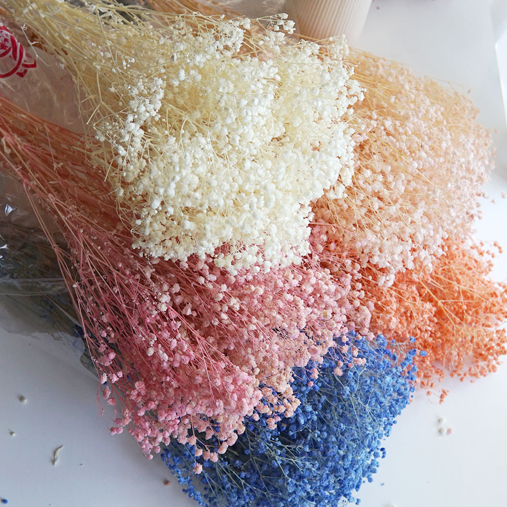 50g/Colorful Natural Preserved - огляд і ціна Home Office Bleaching