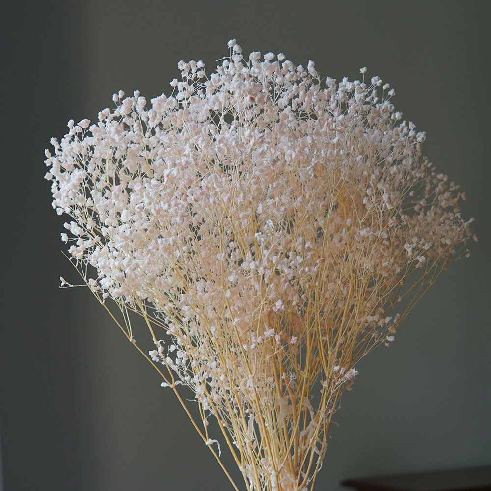 50g/Colorful Natural Preserved - огляд і ціна Home Office Bleaching