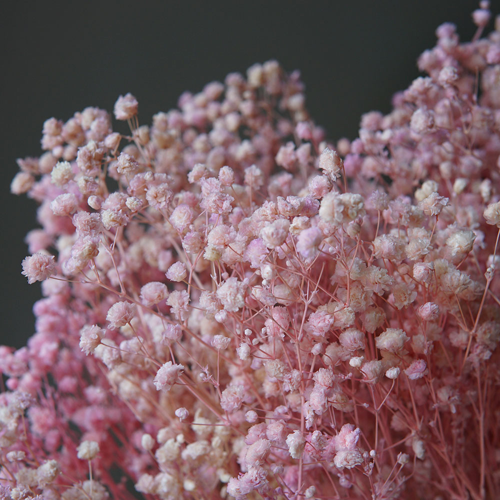 50g/Colorful Natural Preserved - огляд і ціна Home Office Bleaching